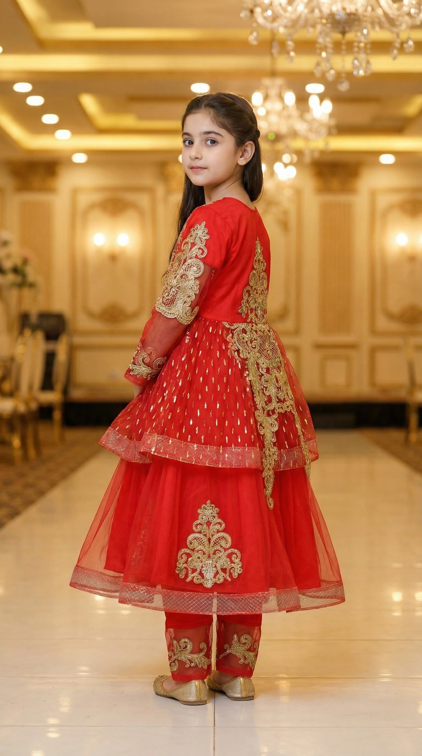 Royal Zari Embroidered Net & Chiffon Frock