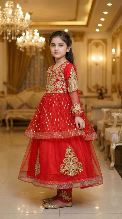 Royal Zari Embroidered Net & Chiffon Frock