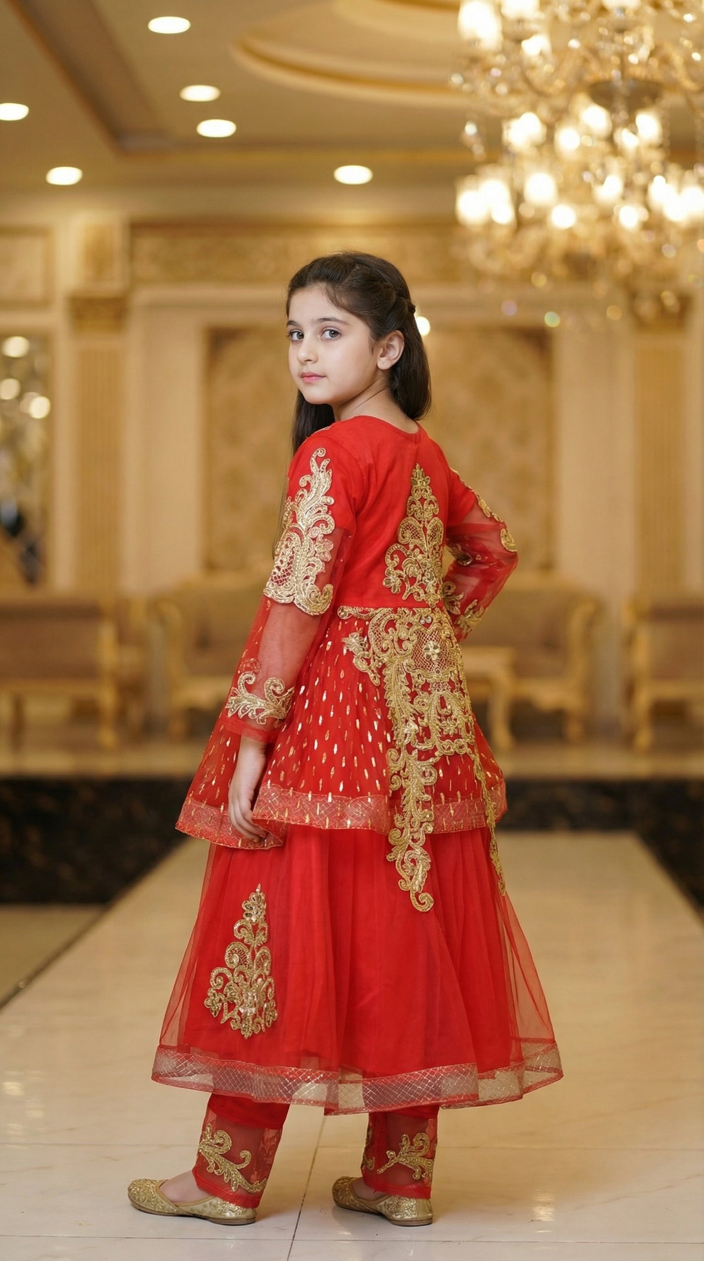 Royal Zari Embroidered Net & Chiffon Frock