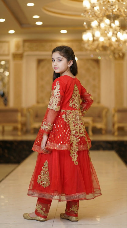 Royal Zari Embroidered Net & Chiffon Frock