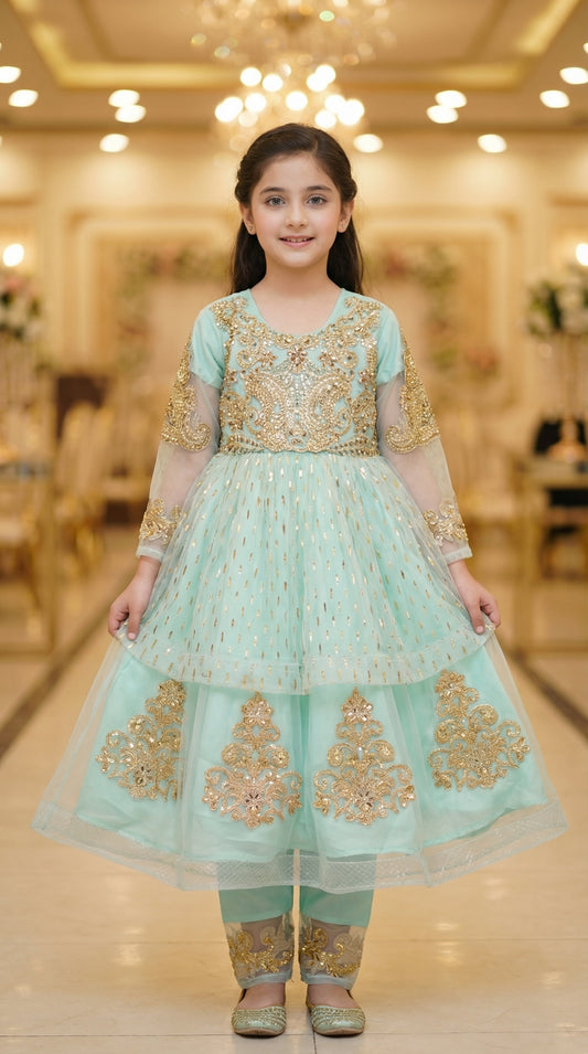 Empress Gold-Embroidered Chiffon & Net Frock