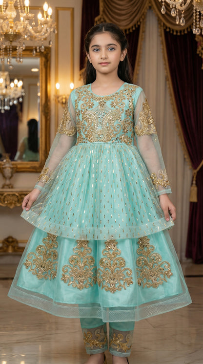 Empress Gold-Embroidered Chiffon & Net Frock