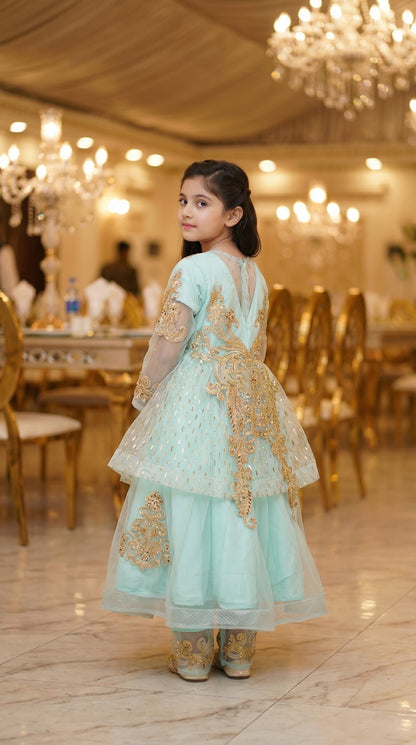Empress Gold-Embroidered Chiffon & Net Frock